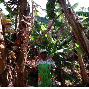 Eunice Kihago Gimode